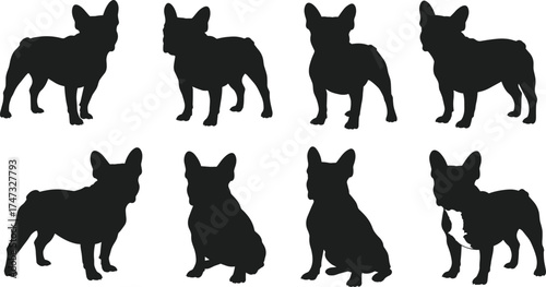 French bulldog silhouette set, standing and sitting dog poses, pet vector illustration, domestic animal design, puppy clipart, cute dog breed artwork for print and design projects