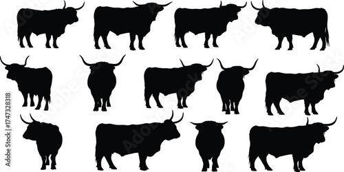  Highland cow silhouettes vector illustration, bull and ox shapes in different poses, farm animal design, livestock graphic, black cattle icons collection