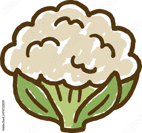 Cauliflower illustration in soft naive pastel doodle style with minimal shapes and bold outline perfect for vegetarian food packaging design