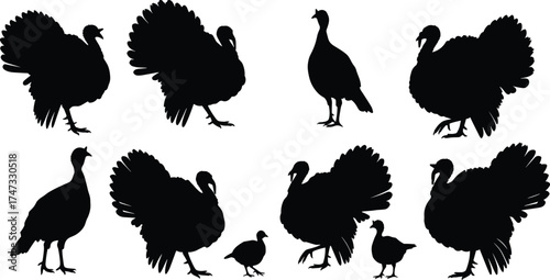  Turkey silhouette collection, wild turkey bird clipart, farm animal black silhouettes, Thanksgiving design elements, wildlife vector illustration, poultry decoration artwork