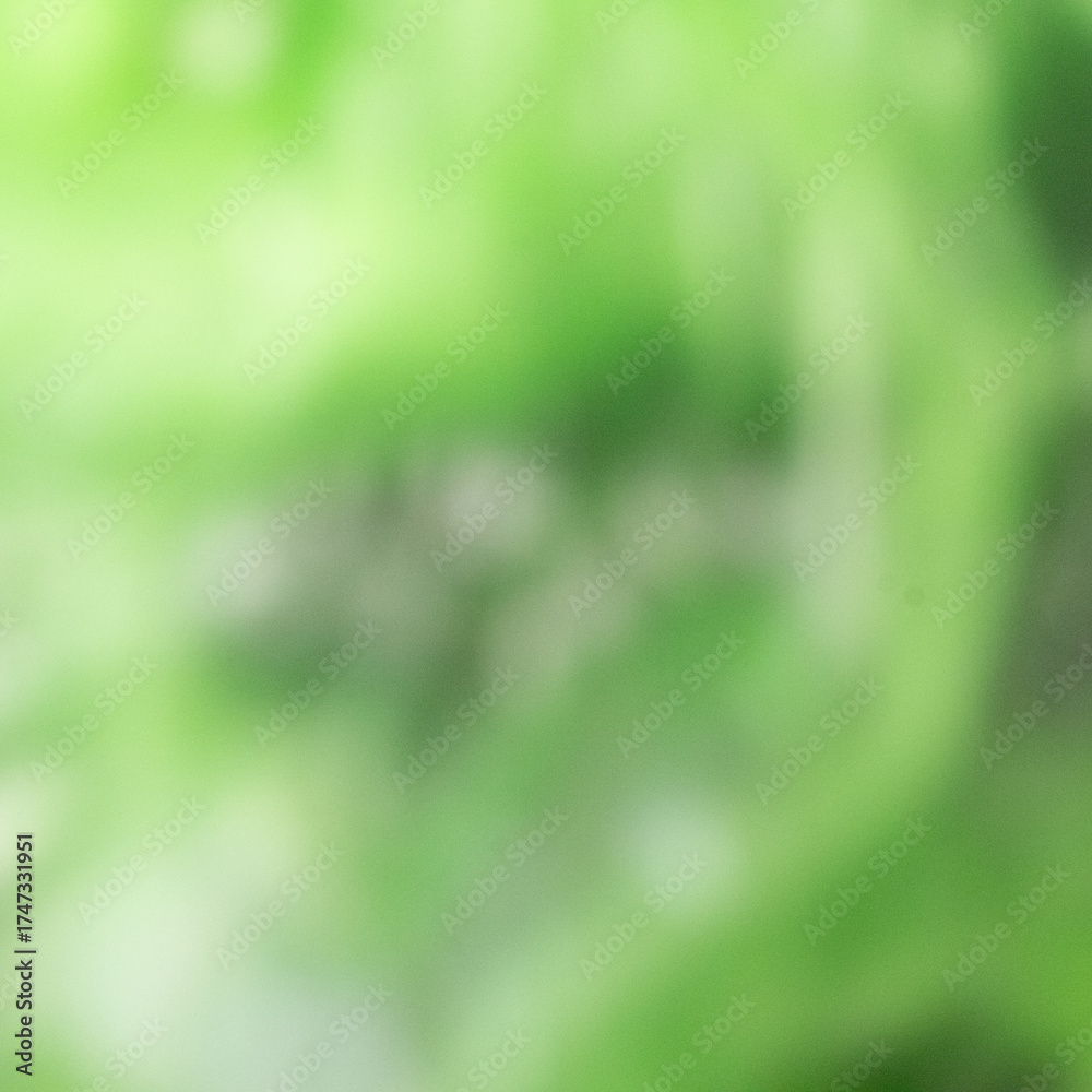 Fototapeta premium Soft Focus Fresh Green Abstract Gradient Background