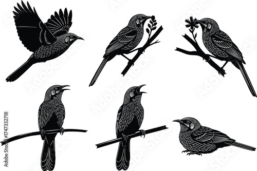 Bird silhouette perched on branch, floral accent, singing pose, flying motion, nature scene, cad drawing flat vector illustration, black design