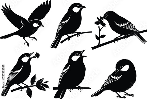 Bird silhouette set, perched and flying poses with floral branches, white accents, cad drawing flat vector illustration, nature design elements