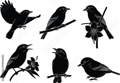 Bird silhouette vector, perched and singing poses, floral branches, nature theme, cad drawing, flat vector illustration, artistic black design