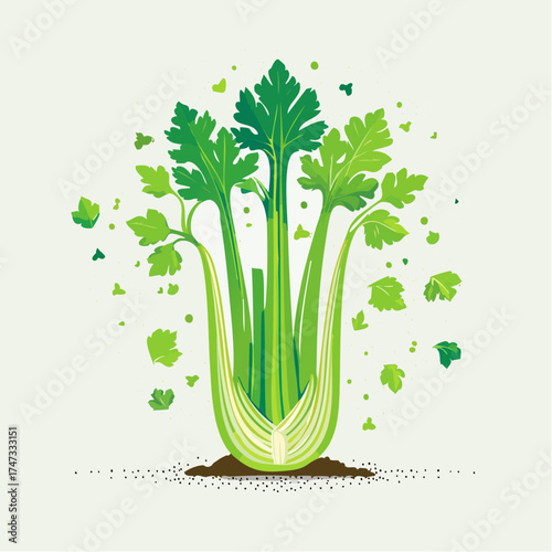 Fresh celery stalk with leaves