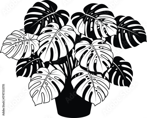 Black and White Monstera Plant Vector Illustration with Tropical Leaves in Pot, Decorative Botanical Art for Modern Minimalist Interior Design
