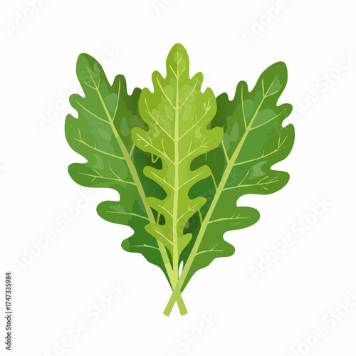 Green arugula leaves isolated with transparent background