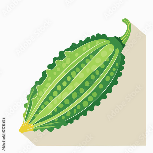 Green bitter gourd with shadow