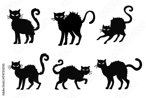 Black Cat Scary Silhouette Collection Illustration