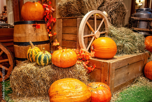 A beautiful composition on the theme of Halloween: pumpkins, rustic carts, bales of straw.