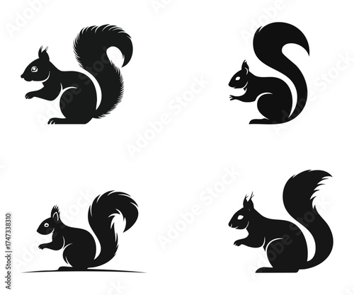 Four black squirrel silhouettes with bushy tails on a white background.