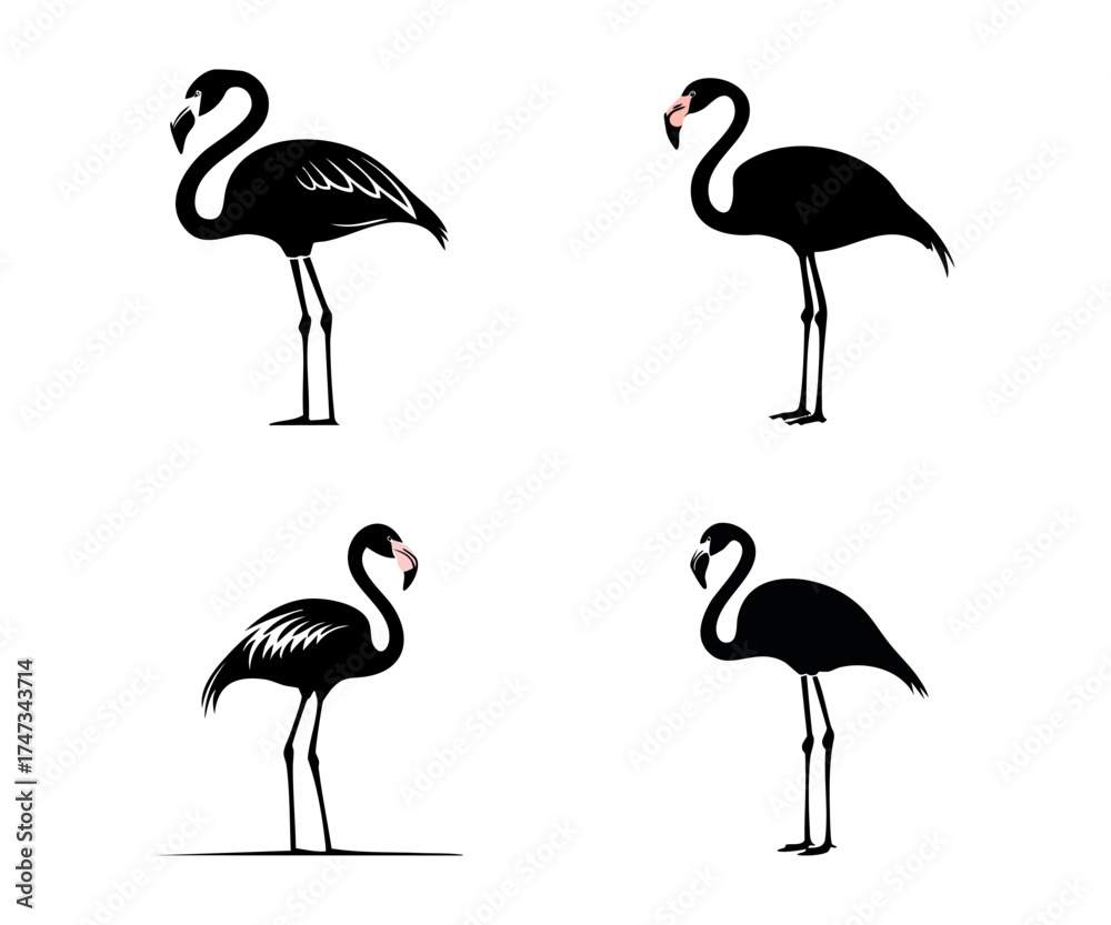 Obraz premium Four black flamingo silhouettes with pink beaks on a white background.