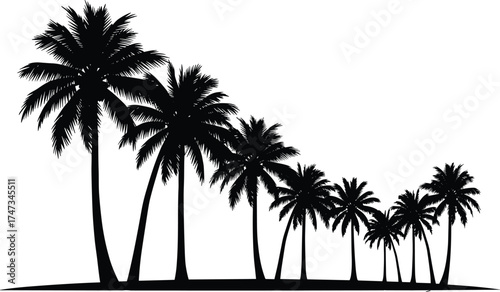 Black silhouette palm trees tropical landscape vector illustration, summer beach nature design, exotic jungle forest scene, vacation holiday island decoration