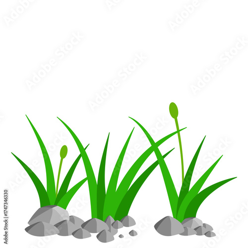 Grass and Rock Graphics