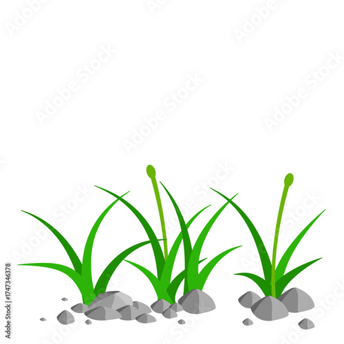 Grass and Rock Graphics