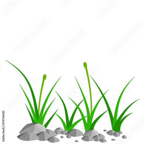 Grass and Rock Graphics