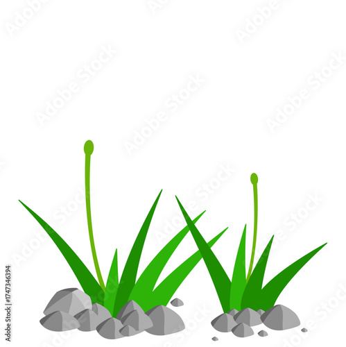 Grass and Rock Graphics