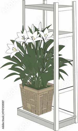 White Lilies in a Basket on a Shelf Home Decor Floral Illustration.