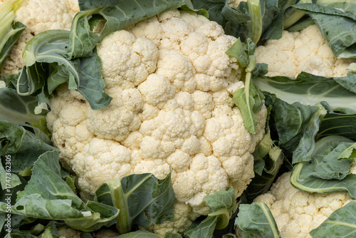 Cauliflower for sale on display at the Union Square Farmers Market in New York City on Wednesday, Oct. 8, 2025. (Photo: Gordon Donovan)