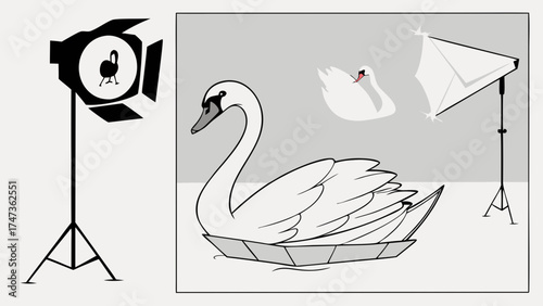 Studio Photography Swan Lighting Setup Bird Animal Illustration Graphic Design Artistic Creative Photo Shoot White Bird Elegant Graceful Water Bird Wildlife Nature Cartoon Simpl.
