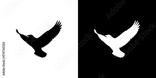 Silhouette of a soaring bird with outstretched wings against contrasting backgrounds, symbolizing freedom