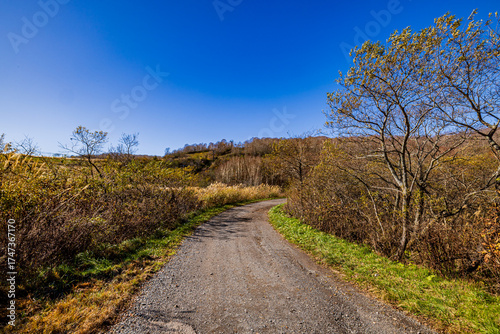 Autumn scenery in Naeba, Niigata Prefecture