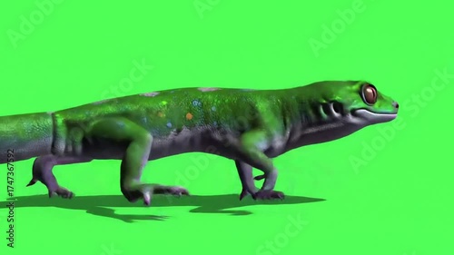 Lizard Walking Animation