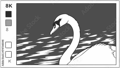 Elegant Swan on Water Monochrome Illustration 8K Resolution Nature Bird Wildlife Graphic Design Print Poster Coloring Page Vector Art.