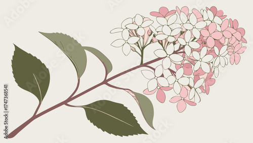 Floral Branch with Pink and White Blossoms Botanical Illustration Spring Flowers Nature Design.