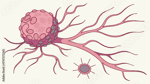 Medical Illustration of a Cell with Extensions Microscopic View Healthcare Biology Science.