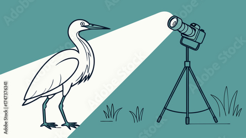 Vector Illustration Bird Photography Setup with Heron and Camera on Tripod.