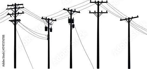 Utility poles, power lines, crossarms, insulators, transformers, birds perched, electrical distribution, rural infrastructure, energy supply, silhouette networkUtility poles, power lines, crossarms, 