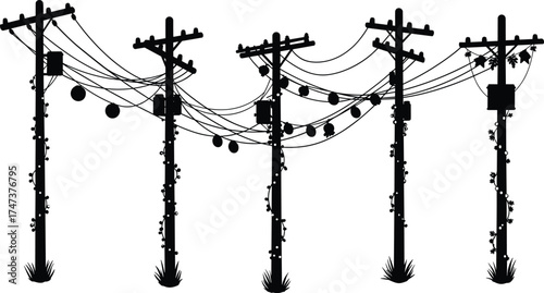 Utility poles, power lines, crossarms, insulators, transformers, hanging lights, climbing vines, silhouette infrastructure, rural energy distribution, black and white