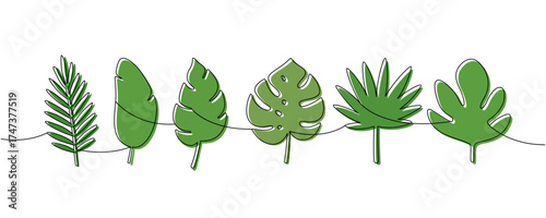 Minimalist continuous line drawing of tropical leaves. Modern botanical art with green color for decorative design