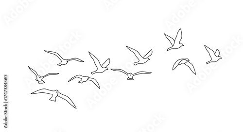 Vector a flock of birds depicted as line art flying in formation towards the upper right corner view