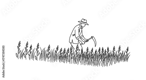 Vector a farmer with a hat is harvesting wheat using a scythe in a field, line art illustration