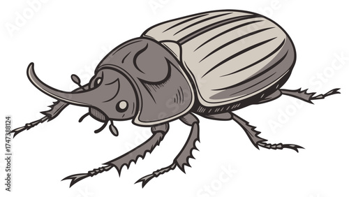 Detailed illustration of a rhinoceros beetle isolated on white background.