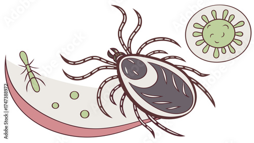 Illustration of a tick bacteria and virus for medical or educational purposes.