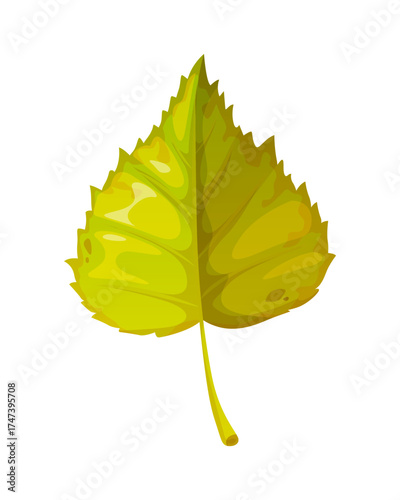 Cartoon linden leaf from autumn season tree. Fall green aspen and tilia leaves heart shape with veins. Seasonal lime tree foliage