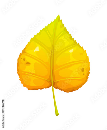 Cartoon linden leaf from autumn season tree. Yellow and green aspen or tilia fall leaves. Seasonal plant foliage from lime tree