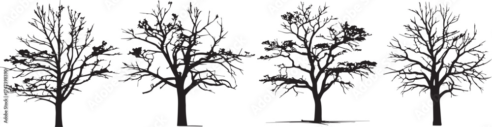 Fototapeta premium Detailed silhouettes of leafless deciduous trees symbolizing winter season, nature stillness, and environmental beauty, perfect for landscape art, forest backgrounds, eco illustrations, and seasonal d