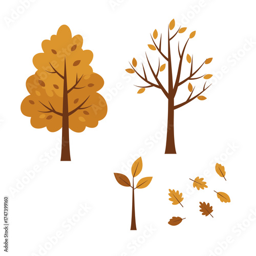 Autumn tree with golden leaves and seasonal foliage – fall nature flat illustration for Thanksgiving or harvest content