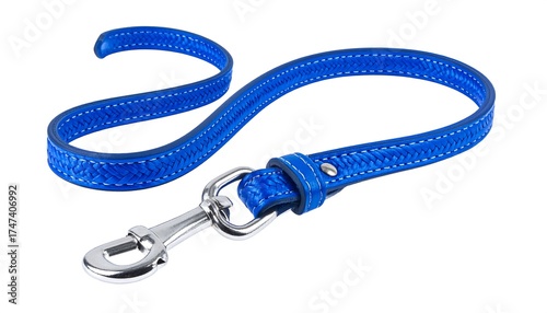 Blue leather dog leash isolated