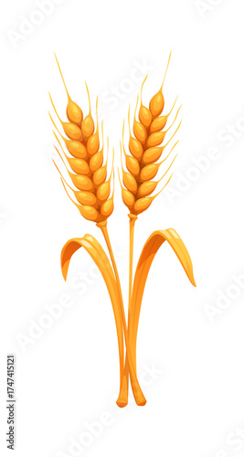 Cartoon wheat ears with autumn golden stem and leaves. Yellow barley, oat or rye isolated icon for fall agriculture farming season.