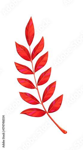 Cartoon rowan leaf branch in autumn season. Red fall leaves and mountain ash foliage. Compound sorbus Thanksgiving twig with stem