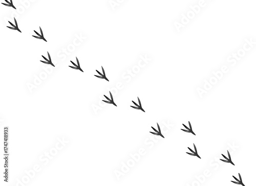 Bird footprints watercolor illustration