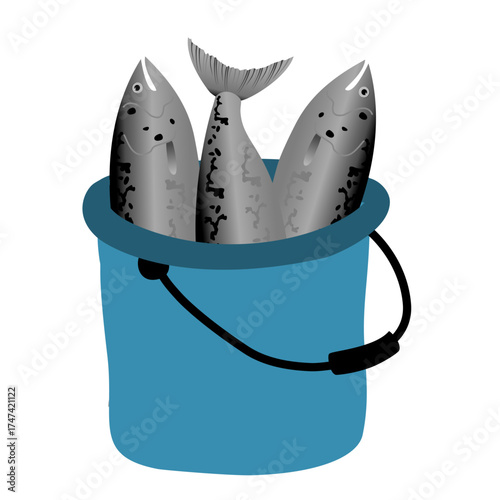 Fish in a fishing bucket. Fishing bucket filled with fish. Fish caught in a container filled with vector illustration on a white background.