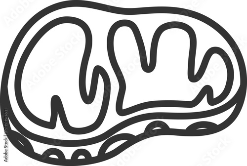 生の、牛ステーキ肉のアイコン（線画）のイラスト