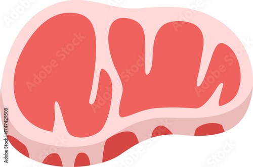 生の、牛ステーキ肉のアイコンのイラスト