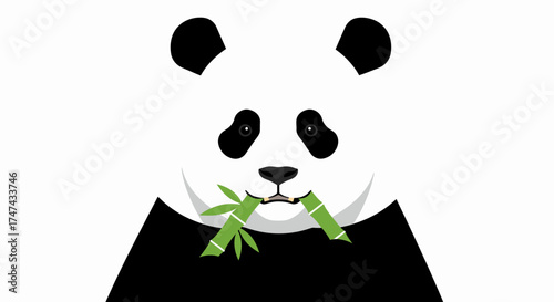 Cartoon giant panda eating bamboo isolated on white background